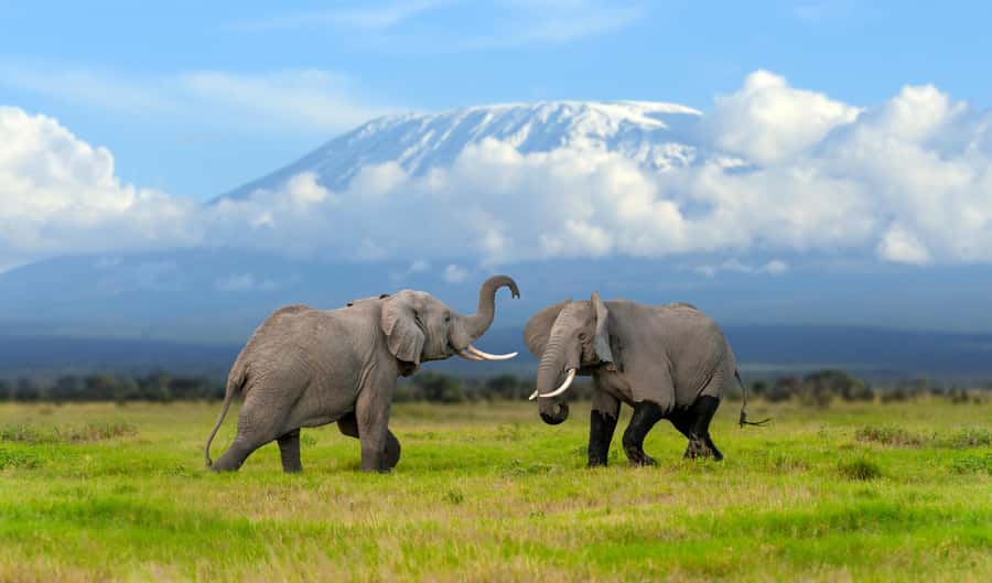 Day Trip: Amboseli National Park & Maasai Village – Nairobi - The early road from Nairobi to the park