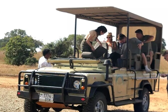 Day trip Safari to Mikumi National Park - The afternoon game drive and return to Zanzibar