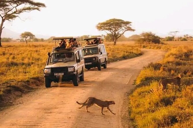 Day trip Safari to Mikumi National Park - Who will enjoy this safari most