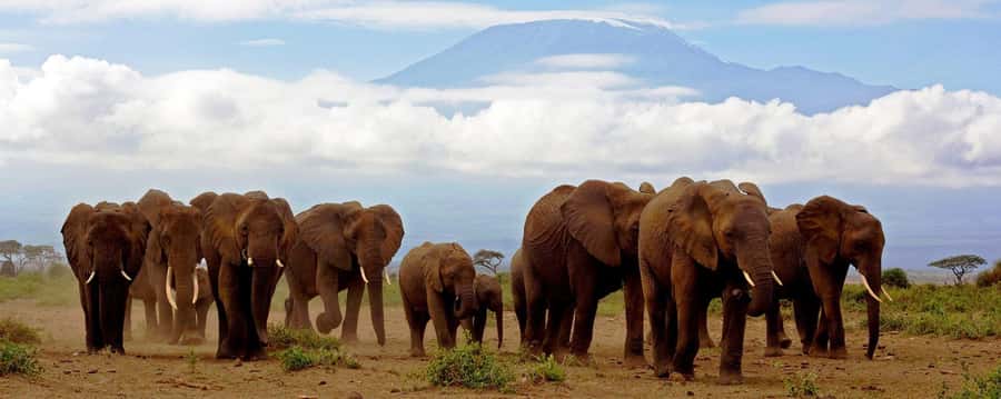 Day Trip to Amboseli National Park from Nairobi. - Entering Amboseli for the main game drive