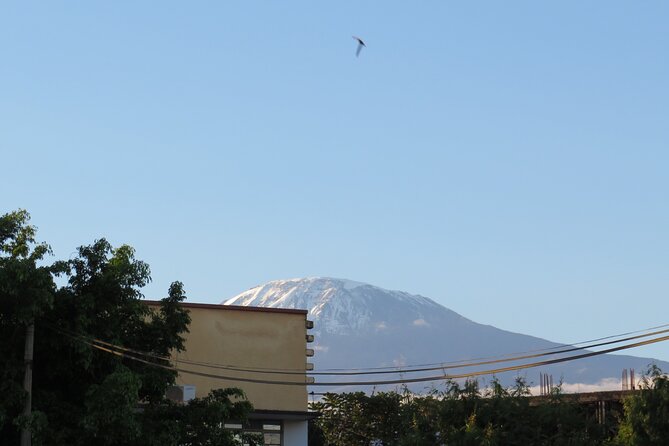 Day Trip to Kilimanjaro National Park - Key points at a glance
