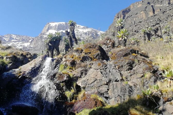 Day Trip to Kilimanjaro National Park - Marangu Gate sets the tone