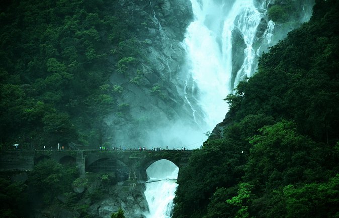 Day Trip to Mollem National Park Including Dudhsagar Falls and Jeep Safari from Goa - What makes the Dudhsagar stop worth the effort