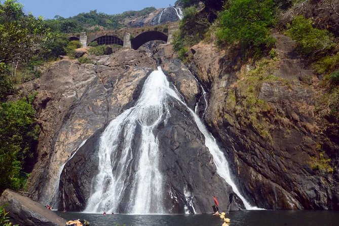 Day Trip to Mollem National Park Including Dudhsagar Falls and Jeep Safari from Goa - A short plantation walk with useful local lessons