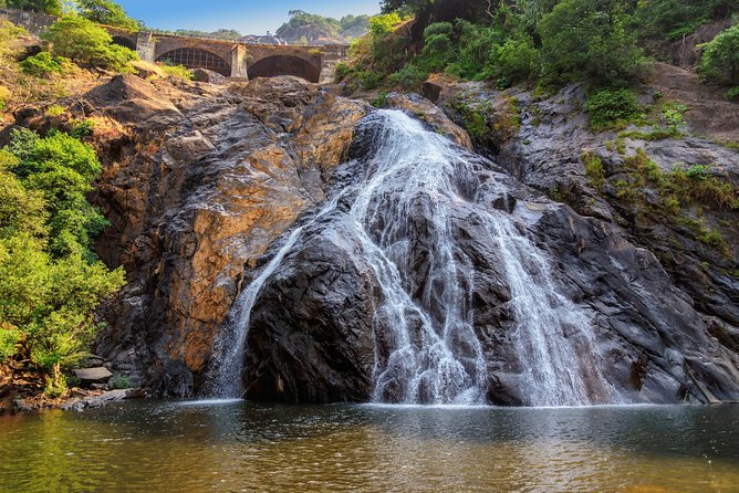 Day Trip to Mollem National Park Including Dudhsagar Falls and Jeep Safari from Goa - Private vehicle, shared safari, and group size