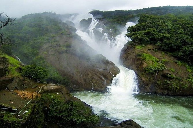 Day Trip to Mollem National Park Including Dudhsagar Falls and Jeep Safari from Goa - Choosing between a relaxed stop and the hard climb