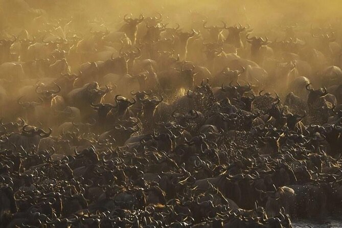 Day trip to tarangire national park - Inside Tarangire National Park