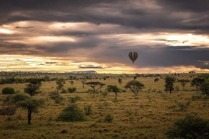 Day trip to tarangire national park - Leaving Arusha for the Tarangire gate