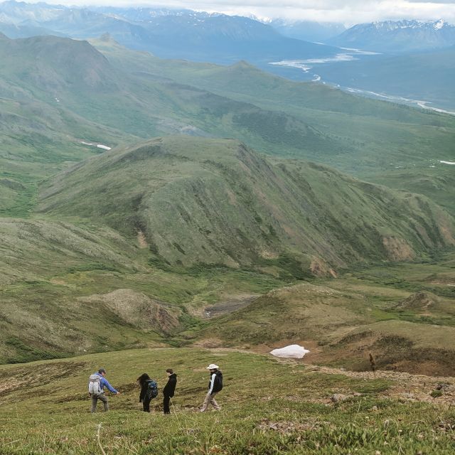 Denali: 5-Hour Guided Wilderness Hiking Tour - What this Denali hike is really like