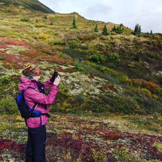 Denali: 5-Hour Guided Wilderness Hiking Tour - The climb from spruce forest to alpine tundra