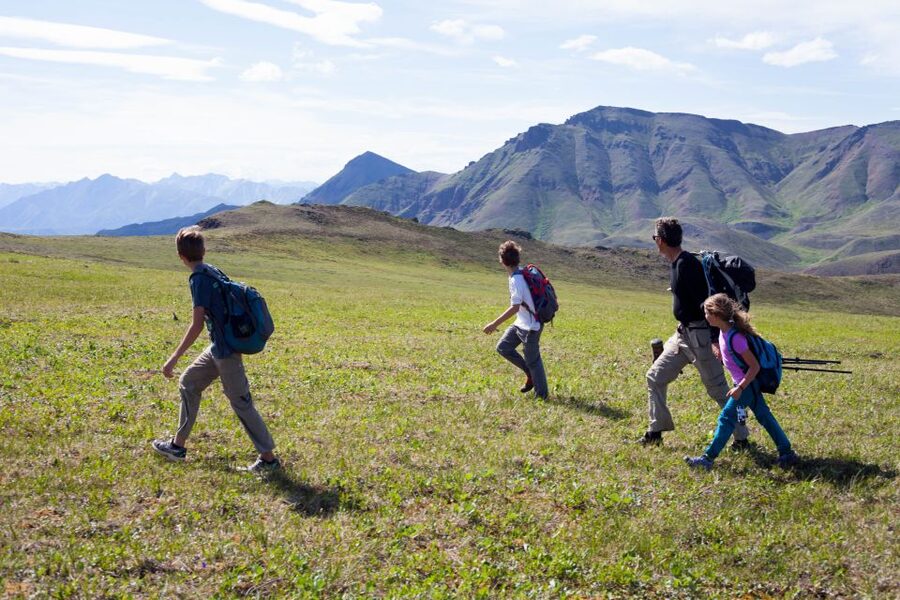 Denali: 5-Hour Guided Wilderness Hiking Tour - What to bring, and what you receive