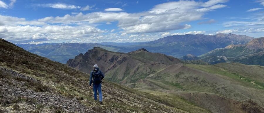 Denali: Denali National Park Walking Tour - What the guide adds to the experience