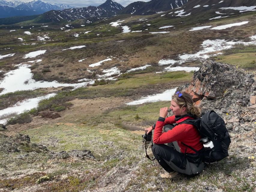 Denali: Denali National Park Walking Tour - Why the small group matters