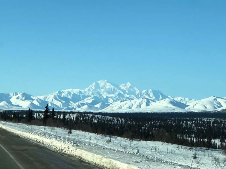 Denali National Park: Full-Day Fairbanks-Denali Adventure - Lunch at a Healy roadhouse