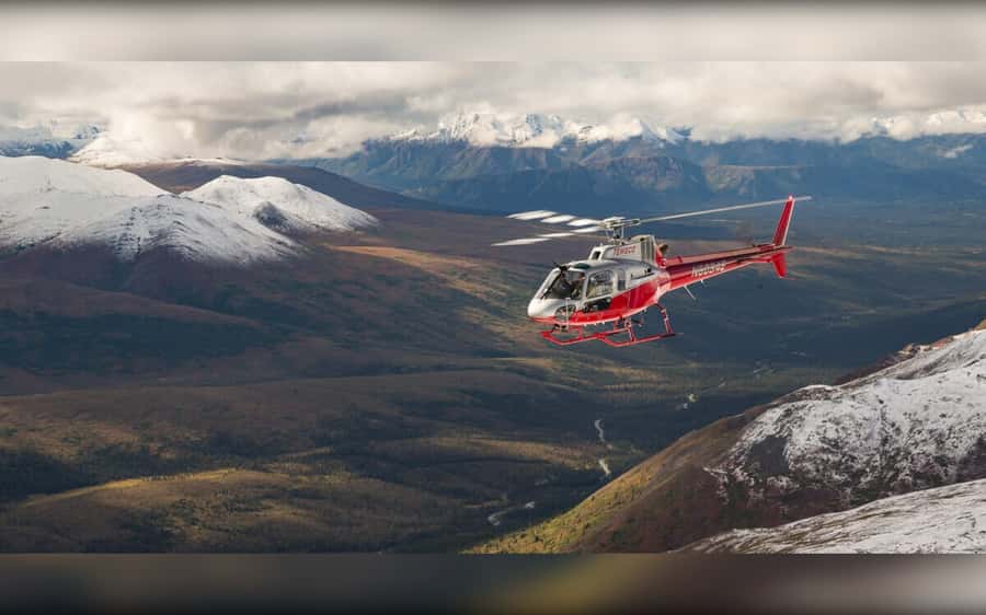 Denali National Park: Helicopter and Hike Adventure - Why this Denali outing is different