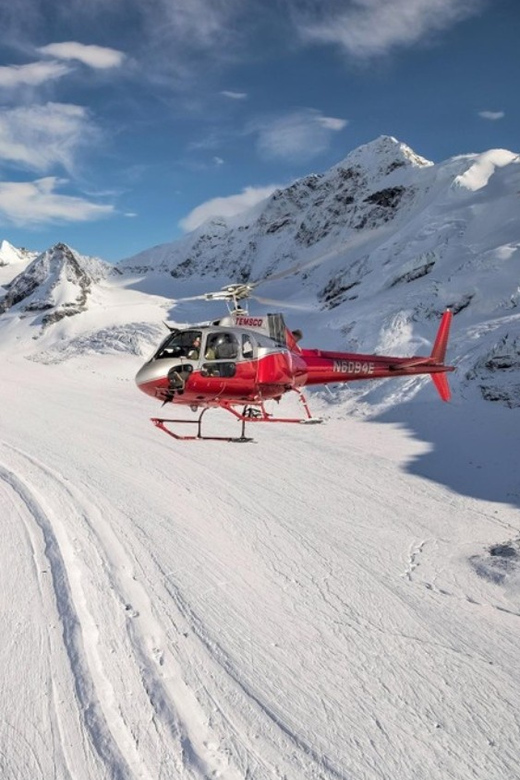 Denali National Park: Helicopter Flight with Glacier Landing - Landing on Yanert Glacier