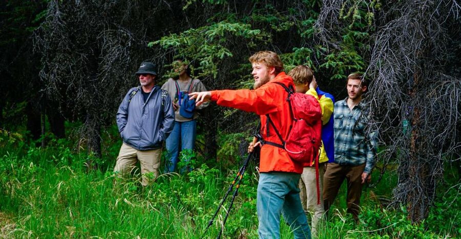 Denali: Naturalist Walking Tour in Denali National Park - Key Points to Know Before You Book