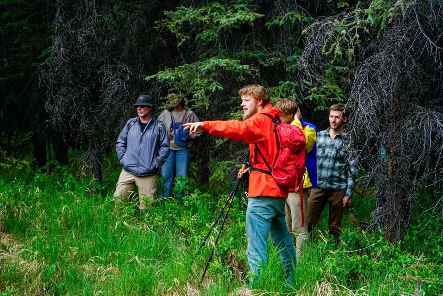 Denali: Naturalist Walking Tour in Denali National Park - Walking Through Denali’s Boreal Forest