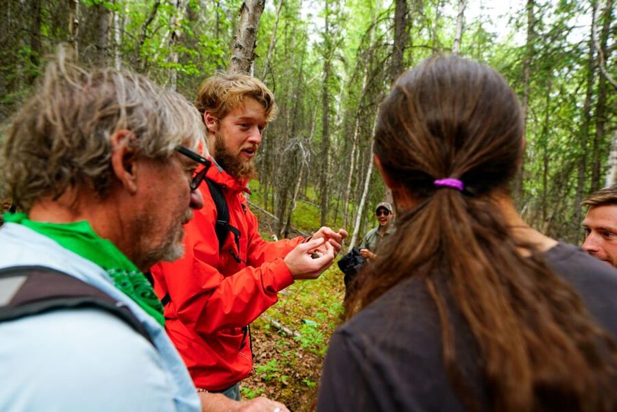 Denali: Naturalist Walking Tour in Denali National Park - Is $139 a Fair Price?