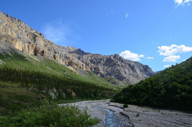 Denali Park Nature Walk (3 Hours) w/Expert Naturalist - Key Points to Know Before You Book