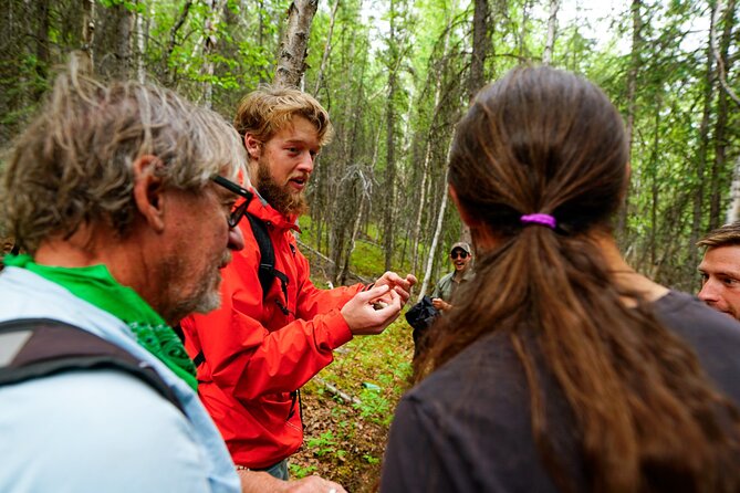 Denali Park Nature Walk (3 Hours) w/Expert Naturalist - A Small Group and a Manageable Pace