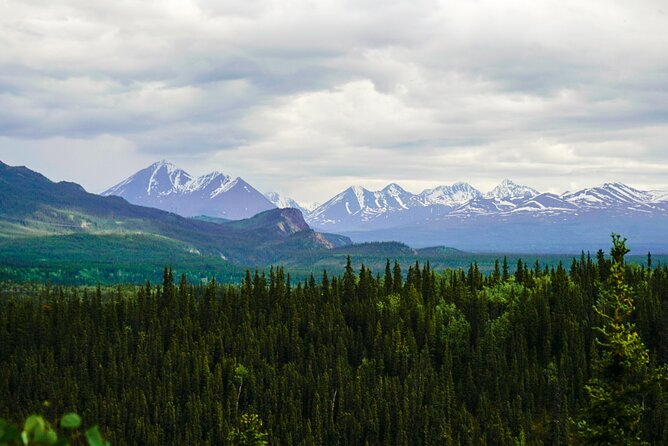 Denali Park Nature Walk (3 Hours) w/Expert Naturalist - The Route May Repeat, and That Is Deliberate