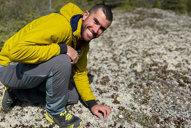 Denali Park Nature Walk (3 Hours) w/Expert Naturalist - Pickup, Meeting Point, and Timing