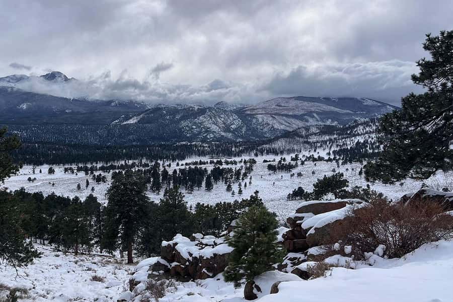 Denver/Boulder: Rocky Mountain National Park Tour - Key points to know before booking