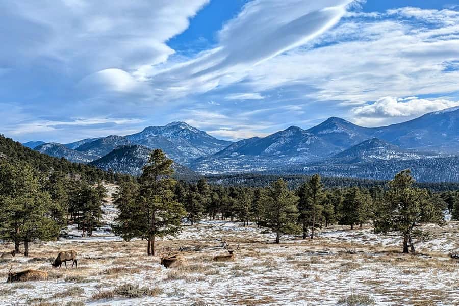 Denver/Boulder: Rocky Mountain National Park Tour - Entering Rocky Mountain National Park