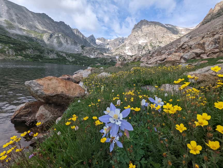 Denver: Private Rocky Mountain National Park Wildlife Tour - Wildlife stops in Rocky Mountain National Park