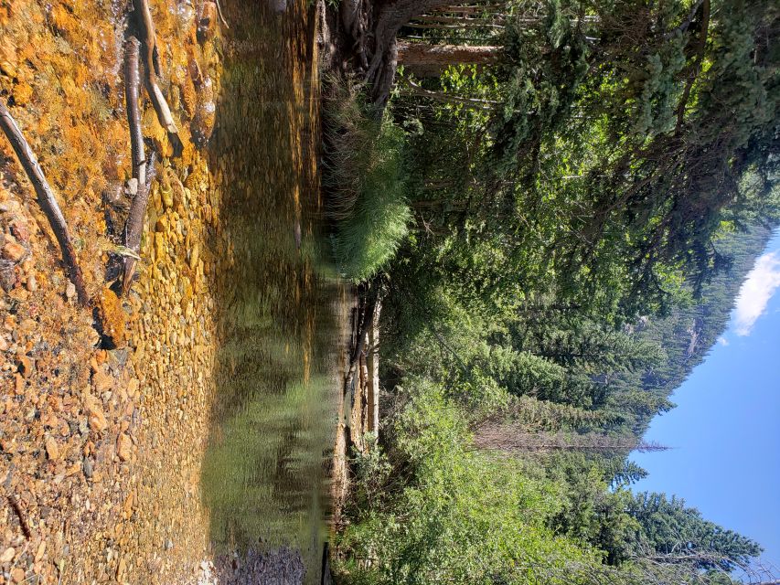 Denver: Rocky Mountain National Park Tour with Picnic Lunch - The day in five useful points