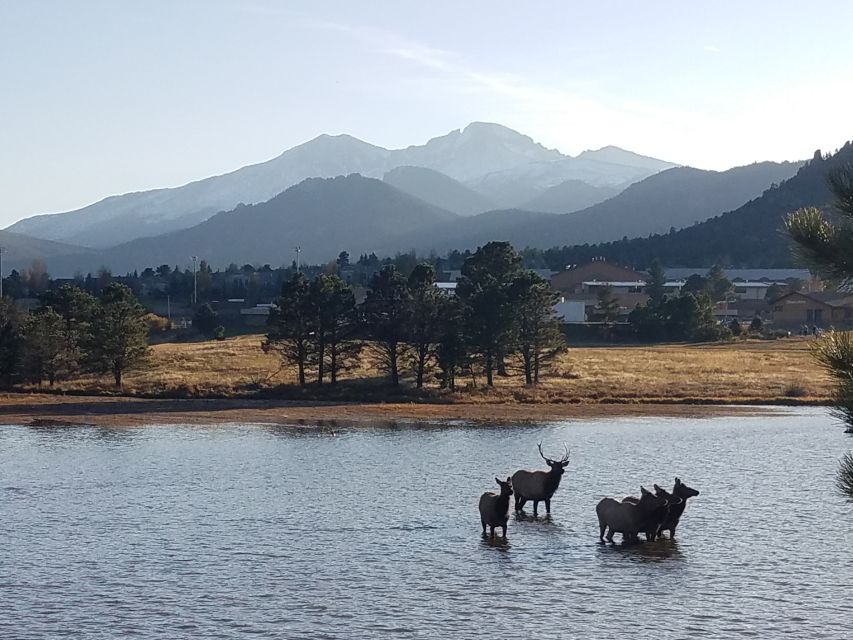 Denver: Rocky Mountain National Park Tour with Picnic Lunch - Horseshoe Park and the Alluvial Fan