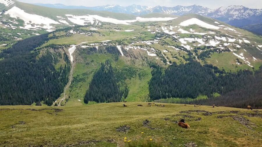 Denver: Rocky Mountain National Park Tour with Picnic Lunch - Guides are the main part of the value