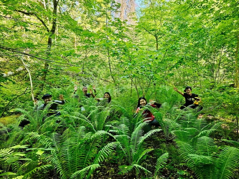 Discover Best of Sigulda and Gauja National Park In One Day - Lunch, food, and the extra costs