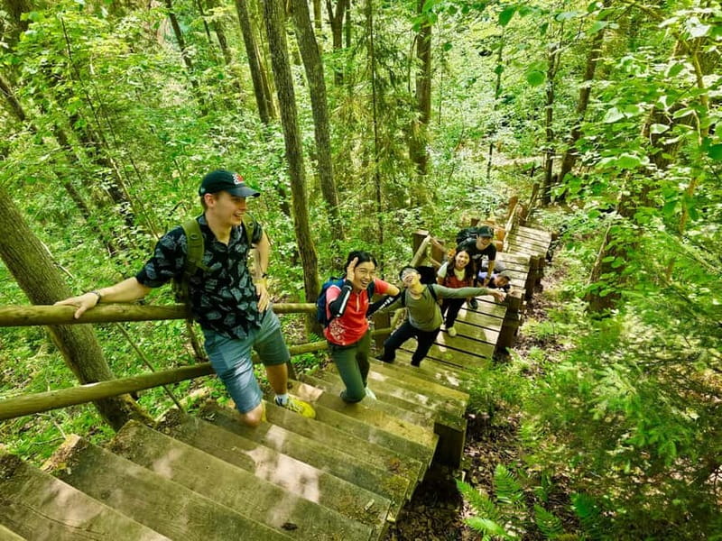 Discover Best of Sigulda and Gauja National Park In One Day - Who should book this Gauja day trip?