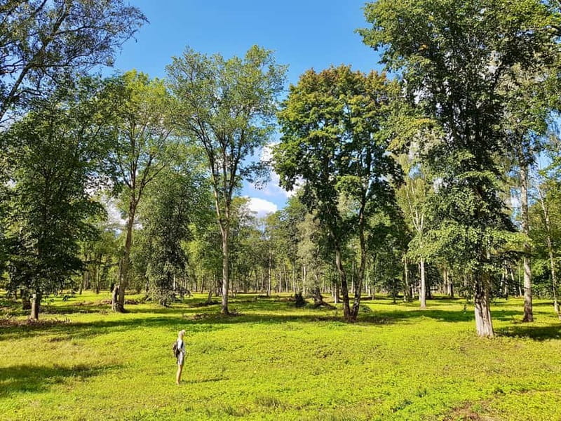 Discover Best of Sigulda and Gauja National Park In One Day - The 8:00 AM start from Riga