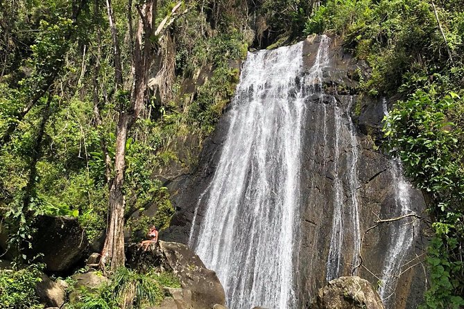 Discover El Yunque National Park: Half-Day Rainforest Tour - What the $115 price really buys you