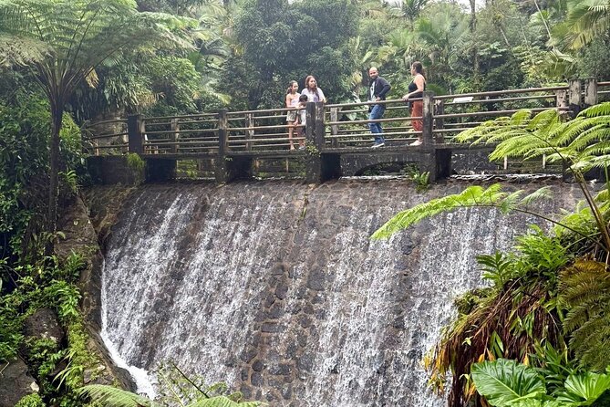 Discover El Yunque National Park: Half-Day Rainforest Tour - La Coca Falls and the quick photo stop