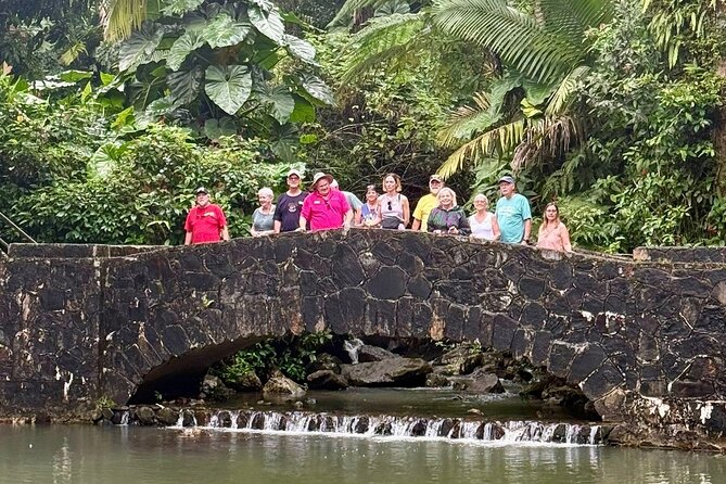 Discover El Yunque National Park: Half-Day Rainforest Tour - The short nature walk and possible river stop