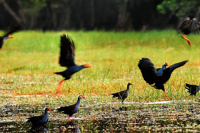 Discover Mua Xuan Nature Reserve - The Bamboo Basket Village