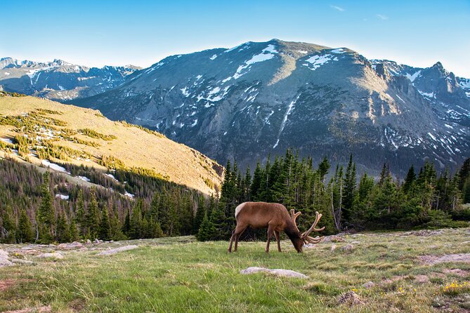 Discover Rocky Mountain National Park - Key points to know before booking