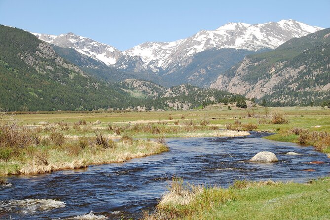 Discover Rocky Mountain National Park - Wildlife watching requires patience and luck