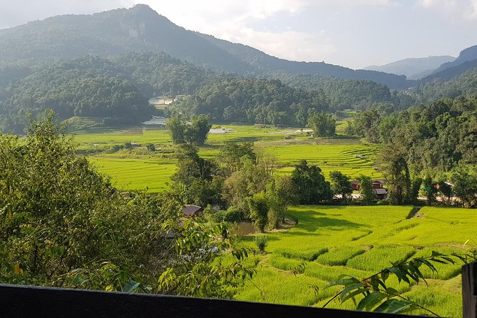 Doi inthanon National Park + 2Hour Fantastic Trekking with Lunch - Ban Mae Klang Luang and Karen Coffee