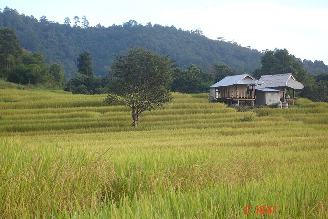 Doi Inthanon National park and 2 hours hiking with private tour - From Chiang Mai to Thailand’s highest mountain