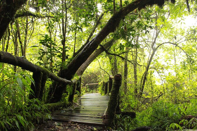 Doi Inthanon National park and 2 hours hiking with private tour - King and Queen Pagodas and the flower gardens