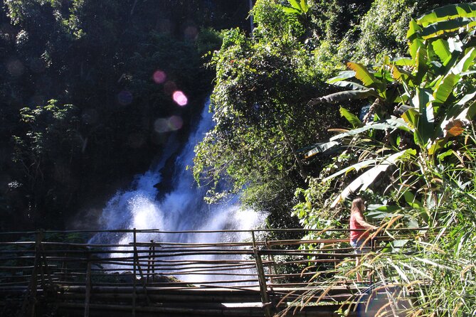 Doi Inthanon National park and 2 hours hiking with private tour - Coffee, rice fields, and an authentic village