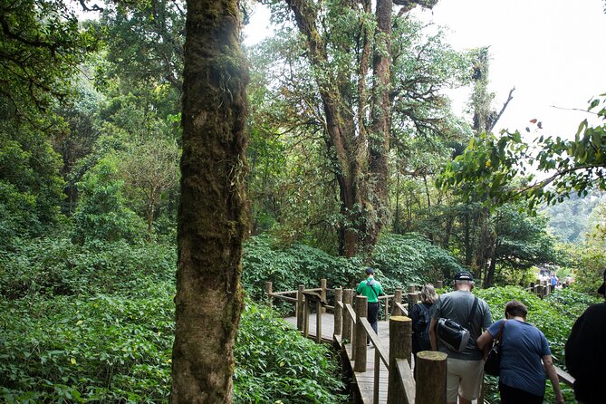 Doi Inthanon National Park Private Tour – Full Day - Why Doi Inthanon works as a Chiang Mai day trip