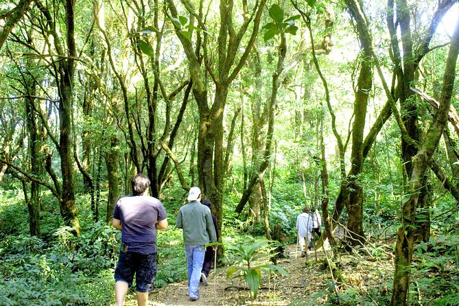 Doi Inthanon National Park, Waterfall & Royal Project Day Tour From Chiang Mai - Why Doi Inthanon is worth the long ride