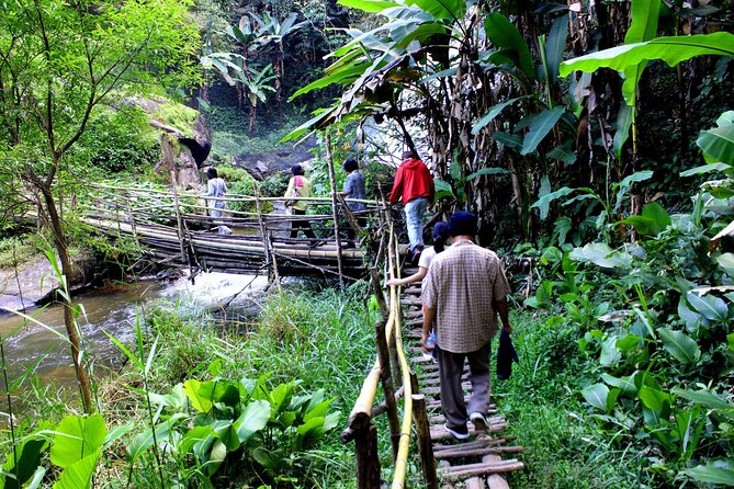 Doi Inthanon National Park, Waterfall & Royal Project Day Tour From Chiang Mai - Ban Mae Klang Luang: coffee, rice fields and village life
