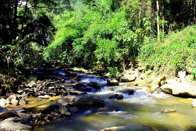 Doi Inthanon National Park, Waterfall & Royal Project Day Tour From Chiang Mai - Lunch is simple, included and practical